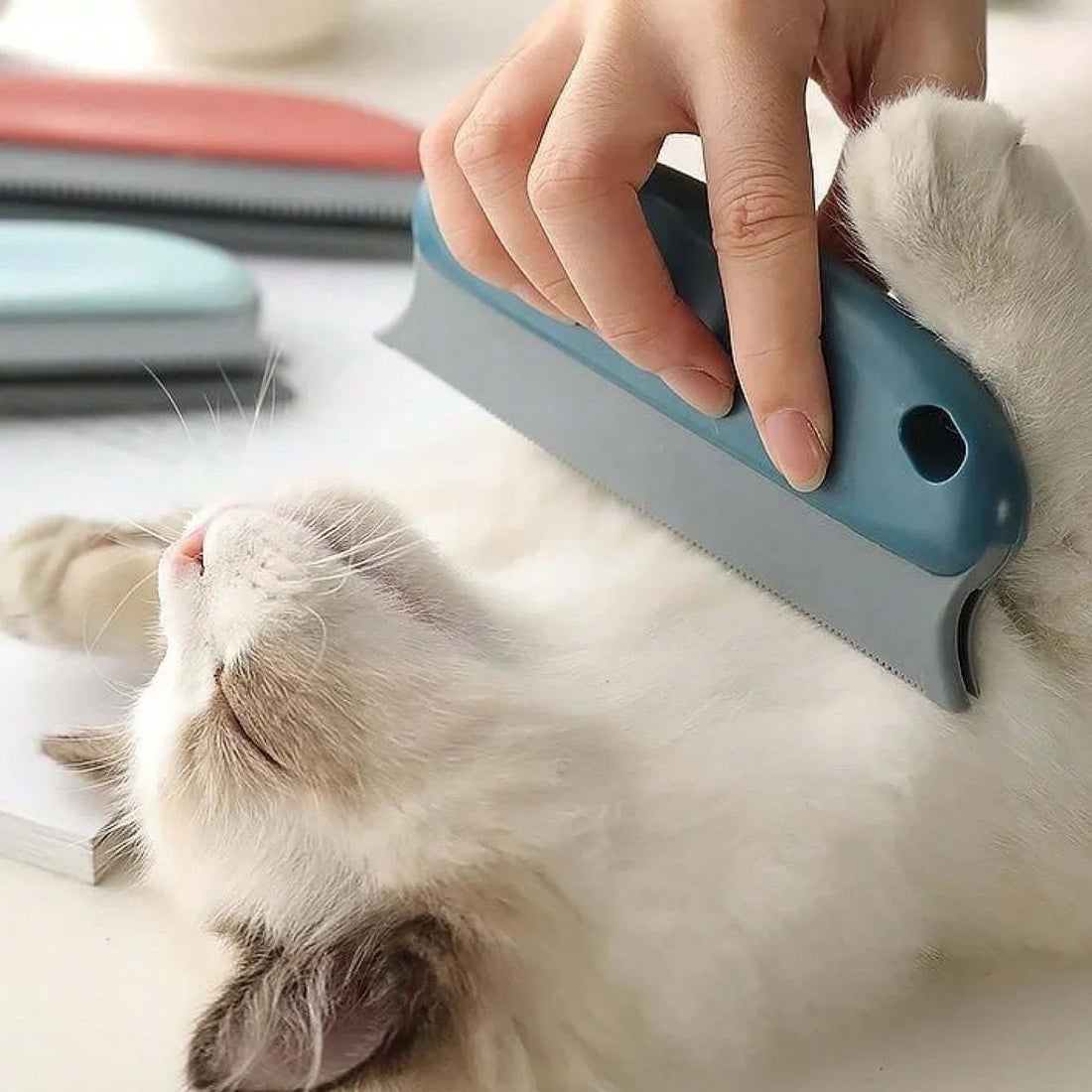 Ecoshyne Pet Deshedding & Hair Remover Brush